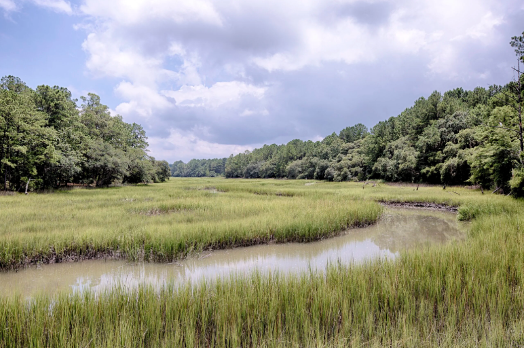 2 Heffalump Road, Okatie, South Carolina