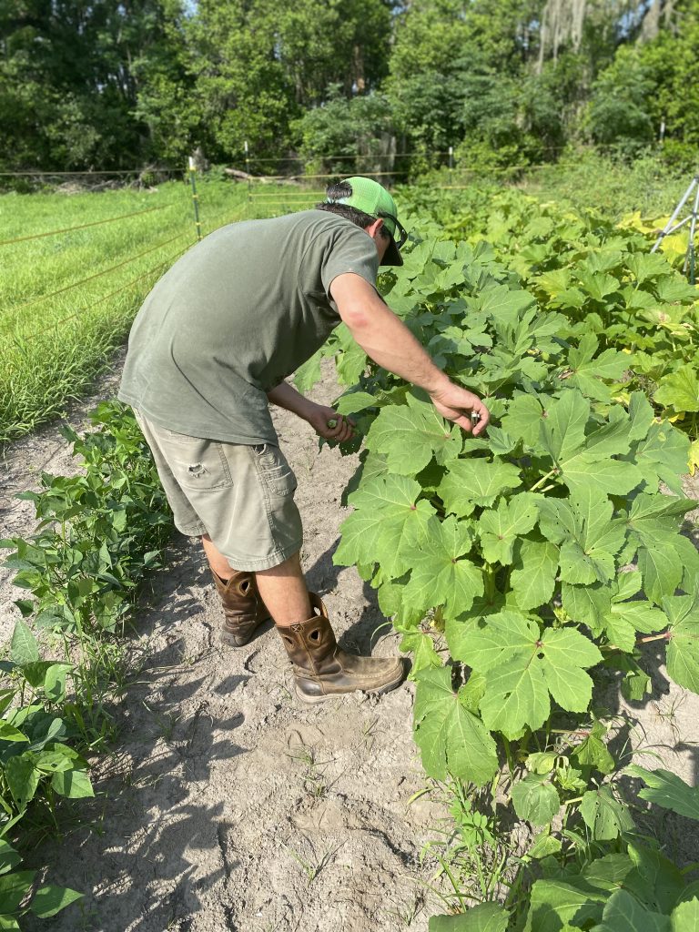 Plant. Garden. Harvest. Cook. Enjoy