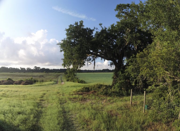 Henry Farms, St. Helena Island, SC 29920