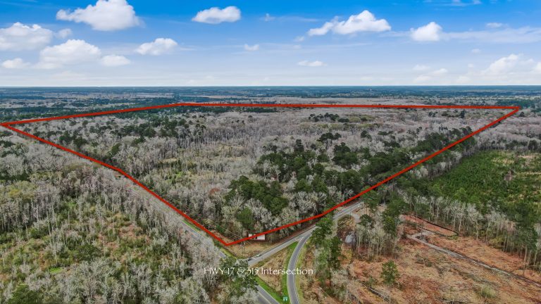 Poindexter Tract, Hardeeville, SC 29927